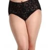 Hanky Panky Plus Size Signature Lace Retro V-Kini | Underwear & Intimates -Hanky Panky Sales Store 81gBBtTMIpL. AC SR736920